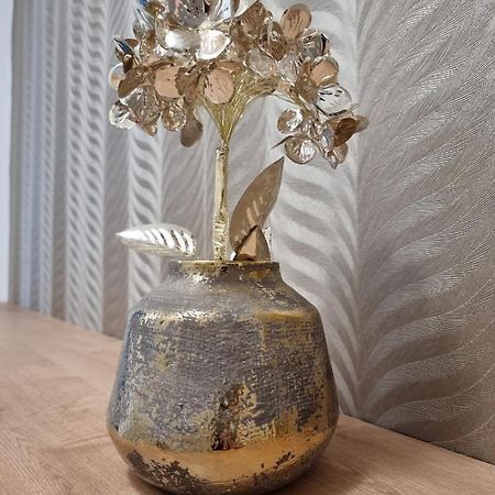 Bivio Apartment Dolna Banská Štiavnica エクステリア 写真