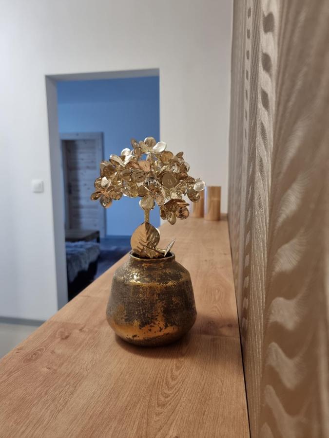 Bivio Apartment Dolna Banská Štiavnica エクステリア 写真