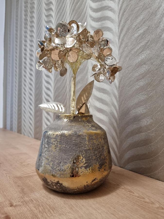 Bivio Apartment Dolna Banská Štiavnica エクステリア 写真